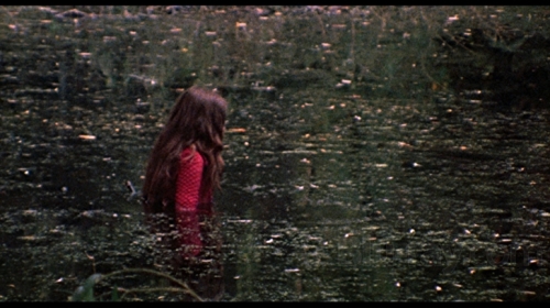 The Last House On The Left (1972, dir by Wes Craven)